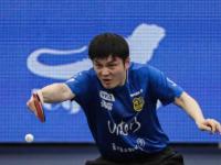 九游体育入口 -萨克拉门托国王训练开放日，关键时刻更衣室发声引欢呼，德甲在即，团队化学反应显著的简单介绍